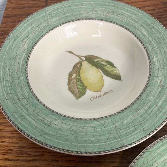Set of 4 WEDGWOOD Sarah’s Garden Salad Plates Green Queen’s Ware ENGLAND 8 1/4" - Picture 4 of 7